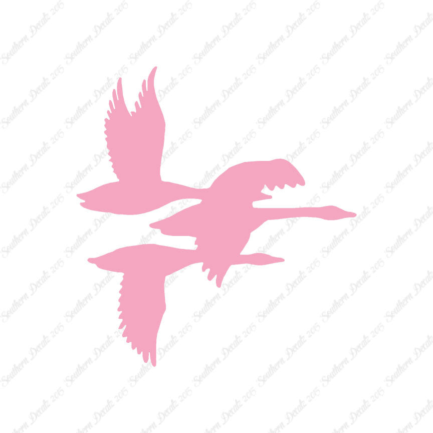 Flock Geese Duck