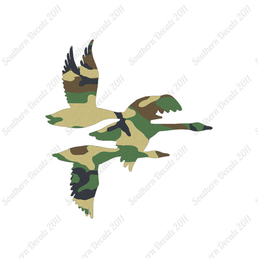 Flock Geese Duck