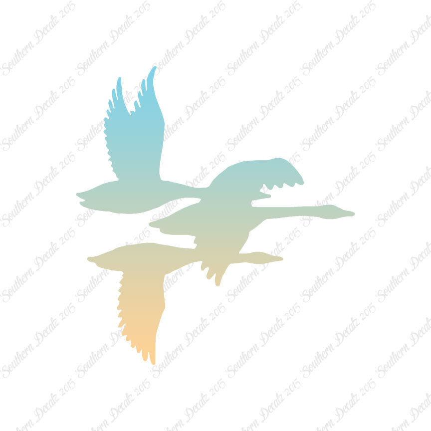 Flock Geese Duck