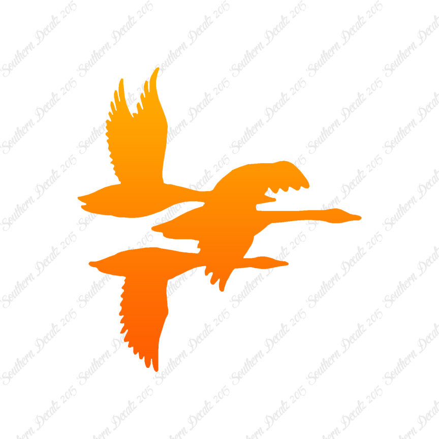 Flock Geese Duck