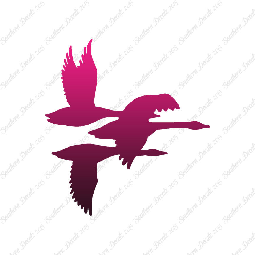 Flock Geese Duck
