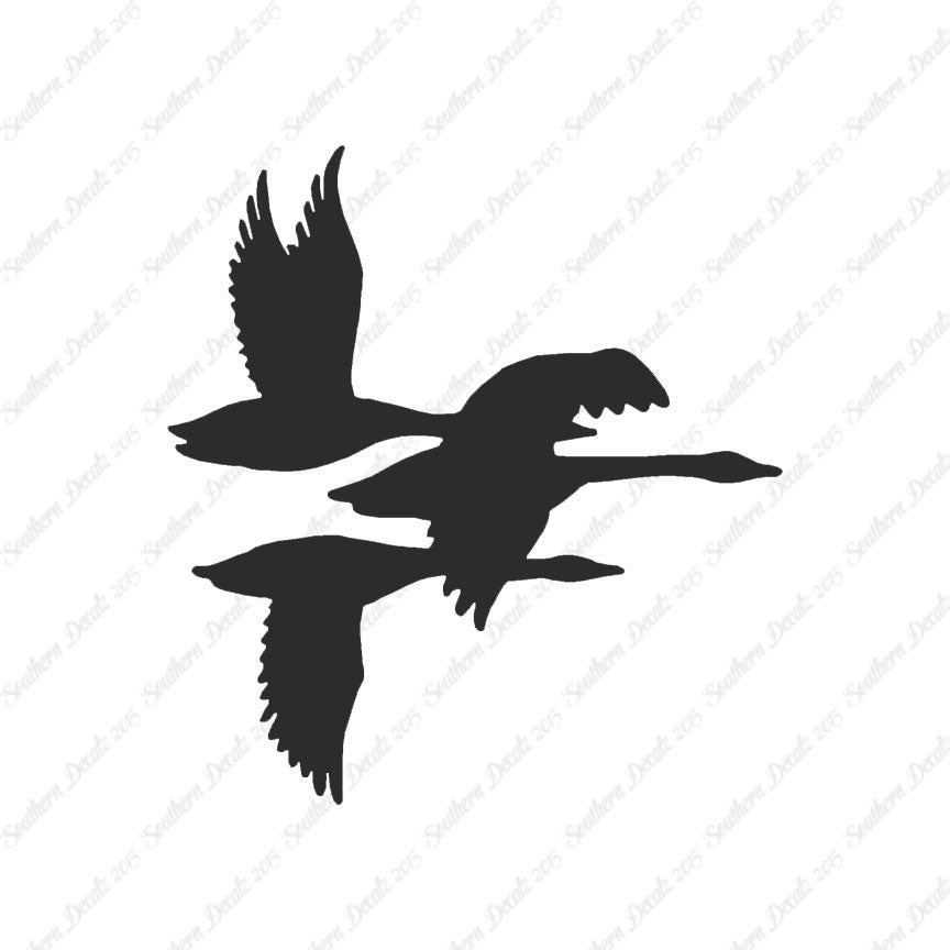 Flock Geese Duck