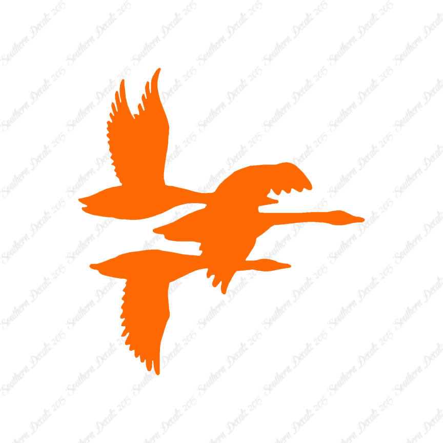 Flock Geese Duck