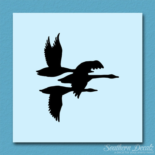 Flock Geese Duck