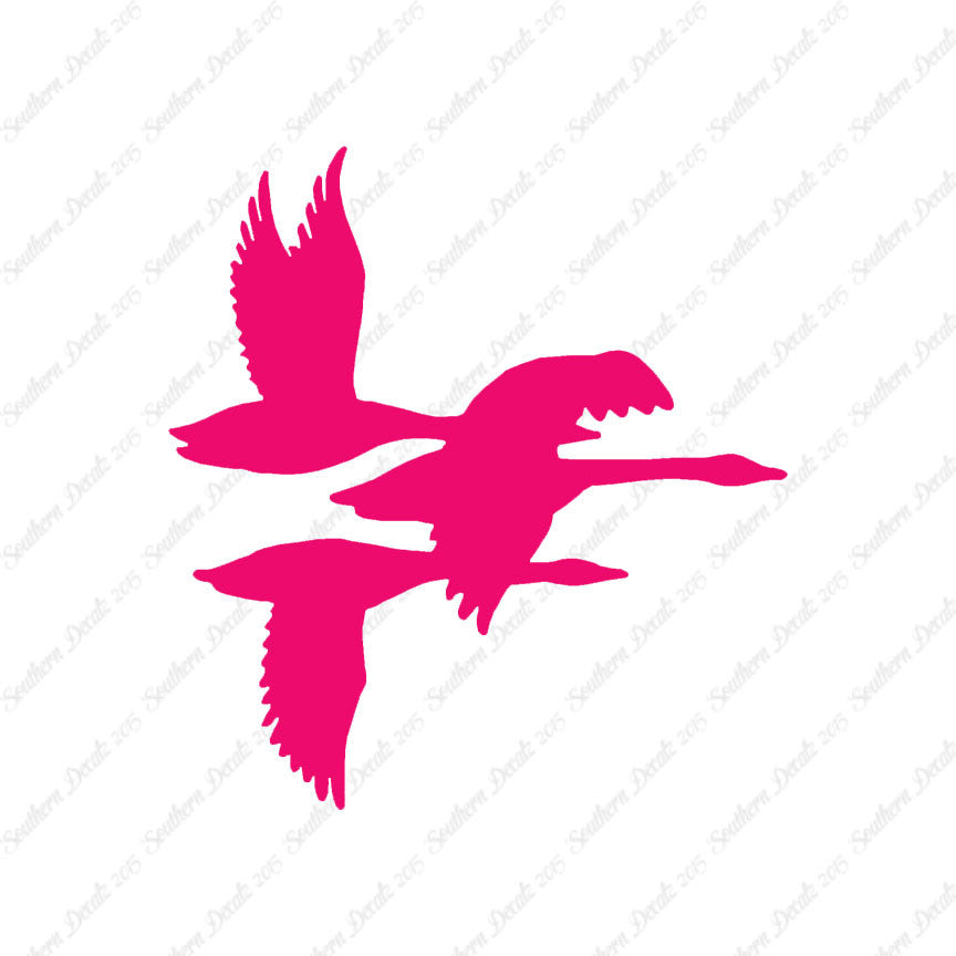 Flock Geese Duck