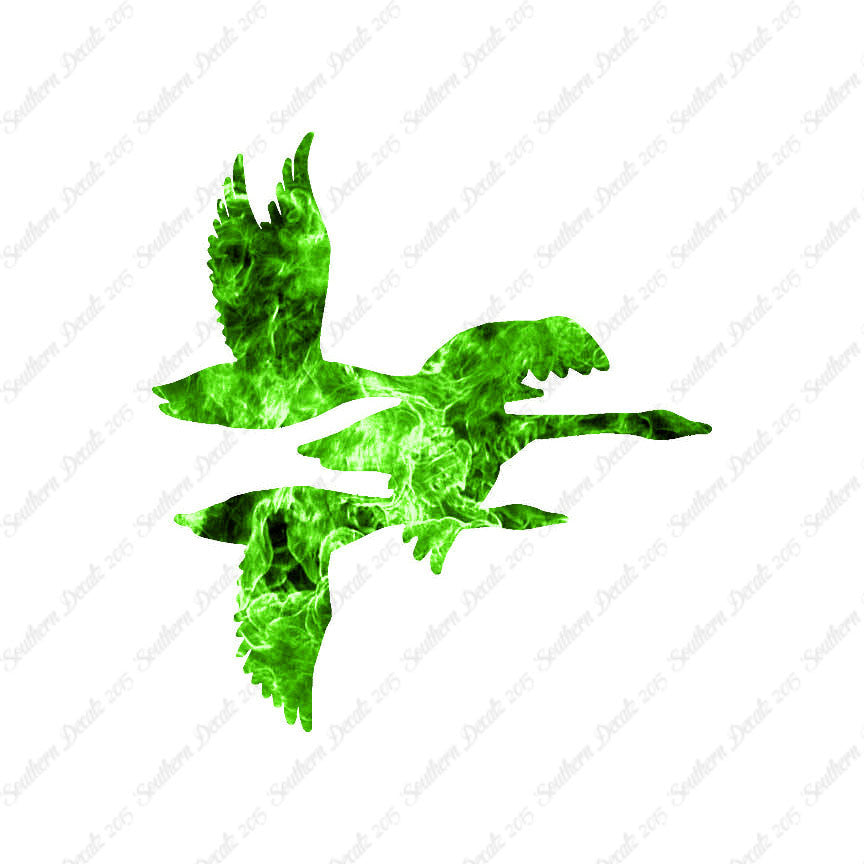 Flock Geese Duck