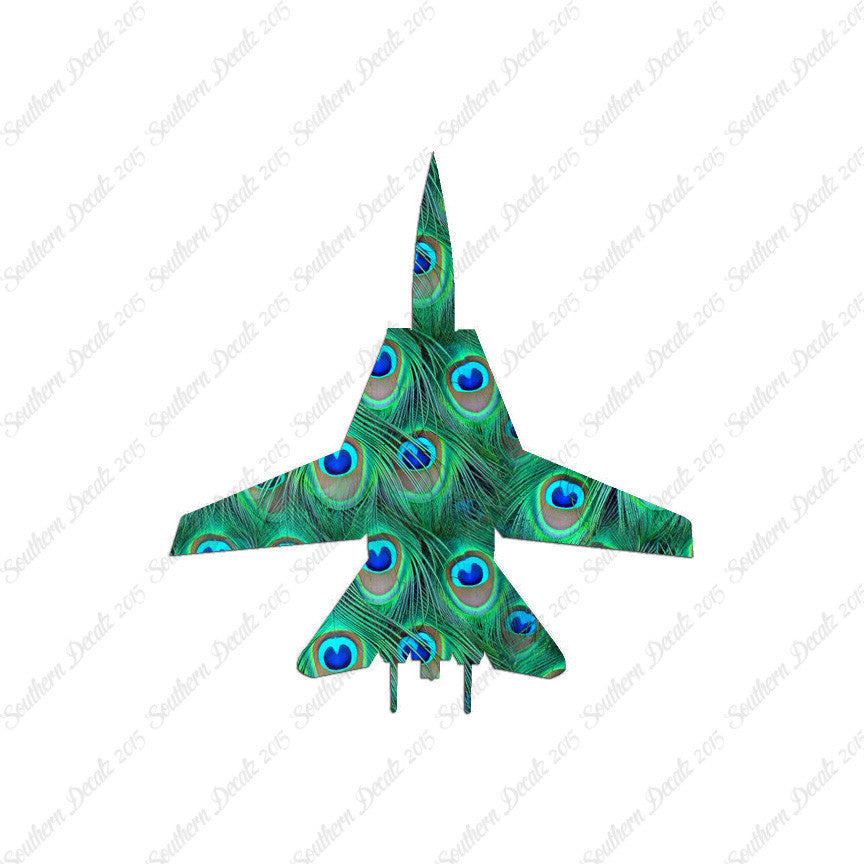 F14 Fighter Jet Airplane