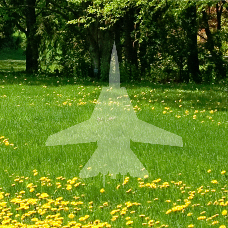 F14 Fighter Jet Airplane