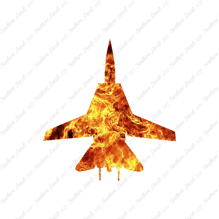 F14 Fighter Jet Airplane