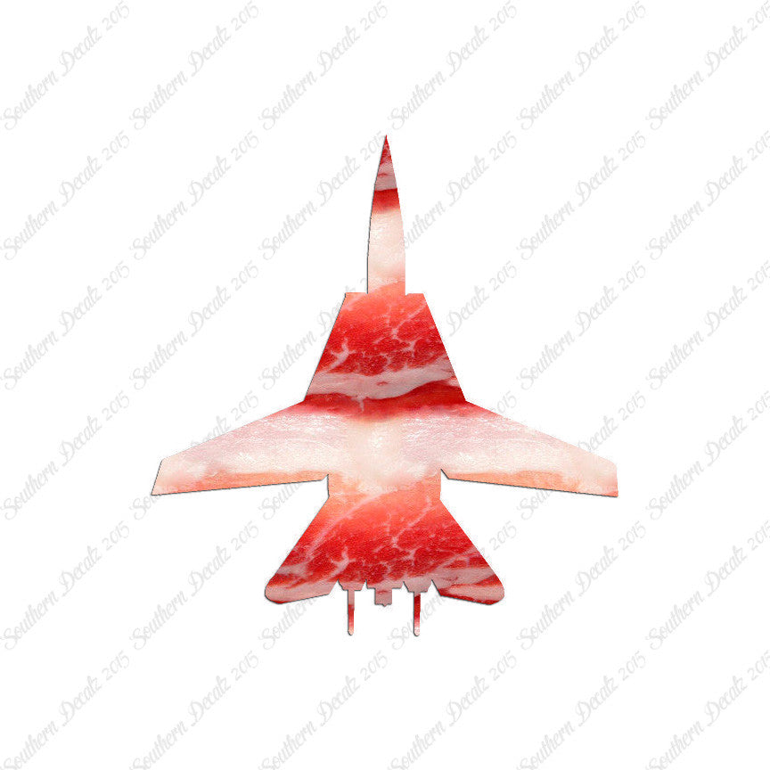 F14 Fighter Jet Airplane