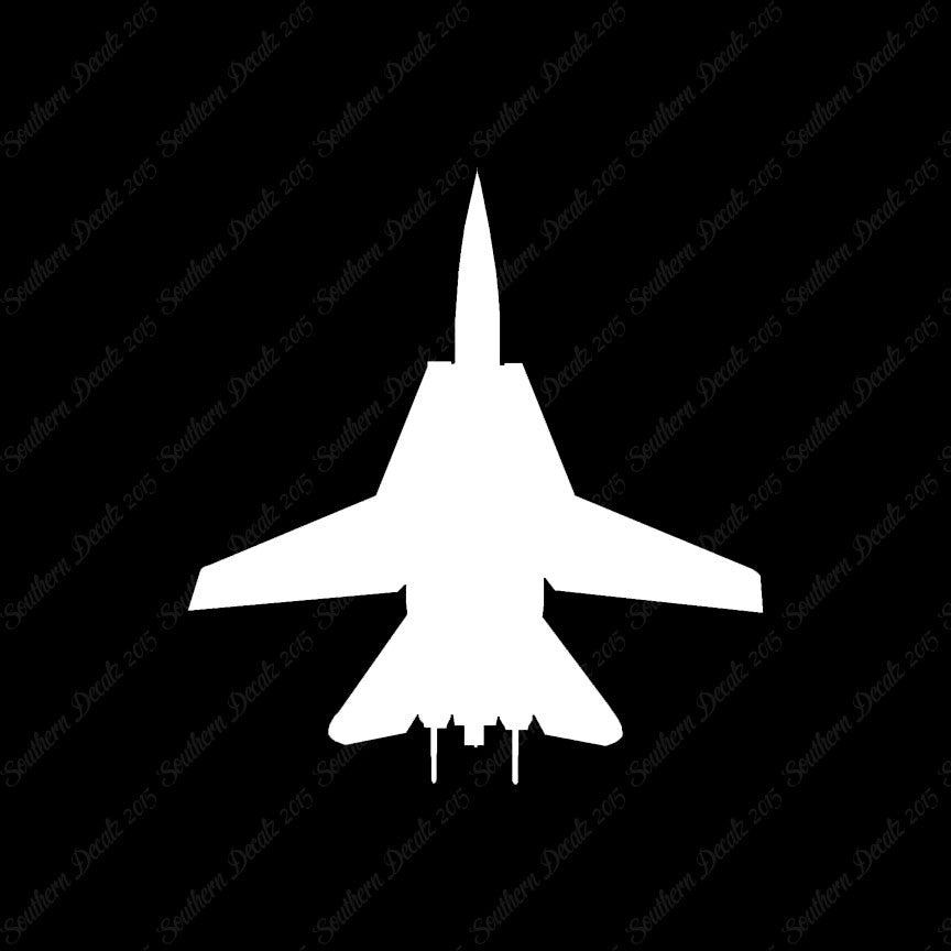 F14 Fighter Jet Airplane
