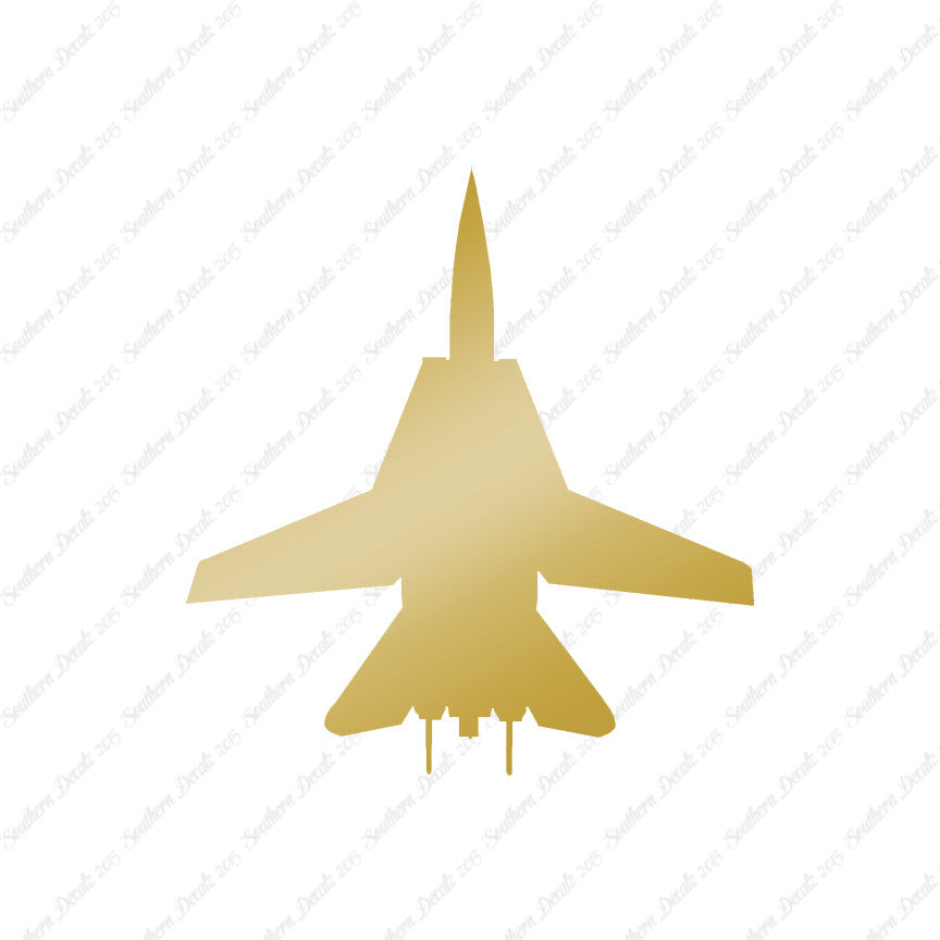 F14 Fighter Jet Airplane