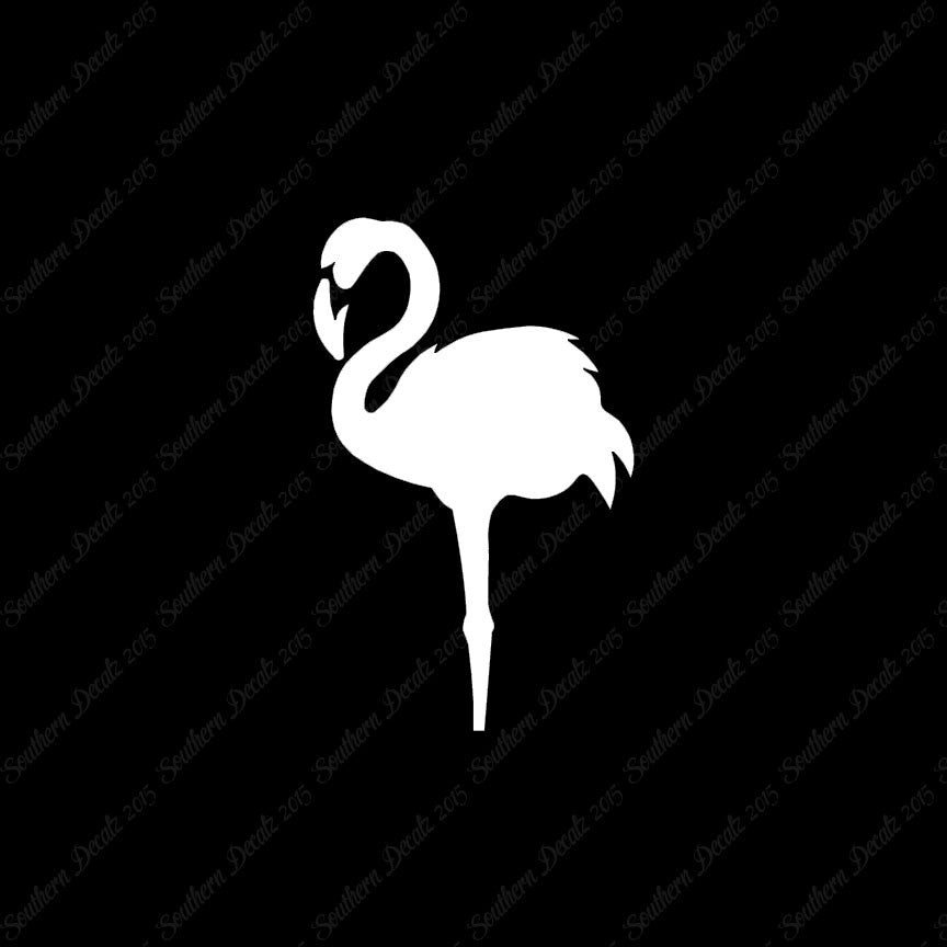 Flamingo Bird