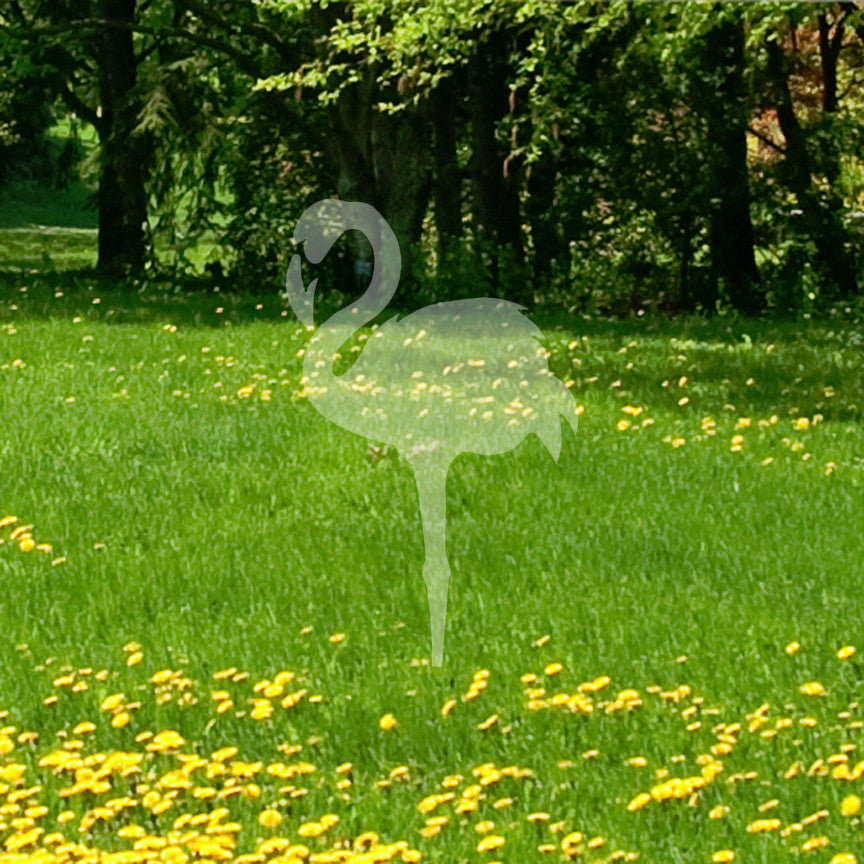 Flamingo Bird