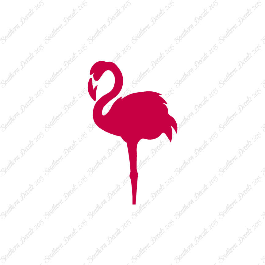 Flamingo Bird