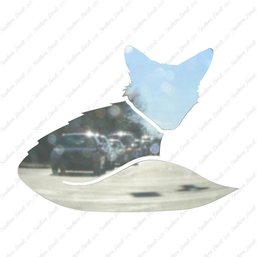 Fox