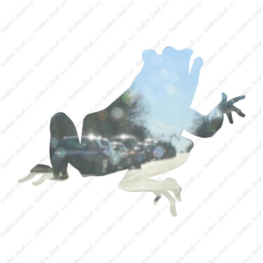 Frog Bullfrog Toad