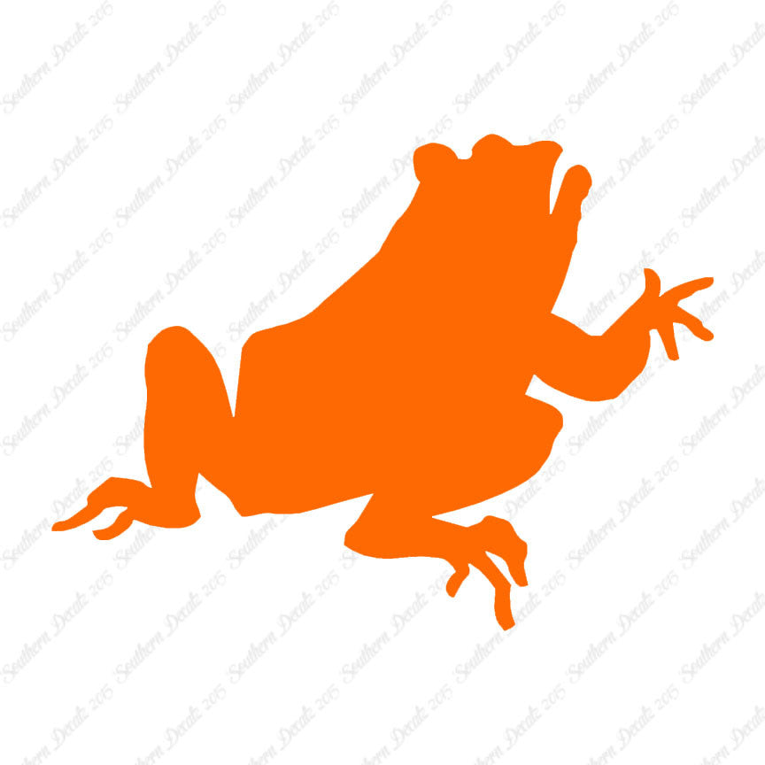 Frog Bullfrog Toad