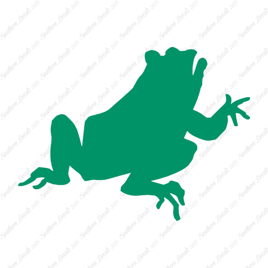 Frog Bullfrog Toad