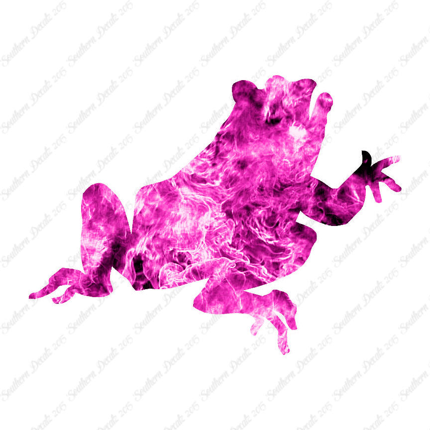 Frog Bullfrog Toad