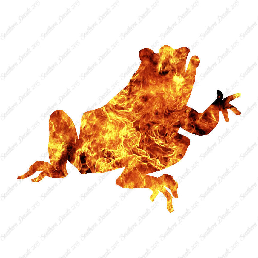 Frog Bullfrog Toad