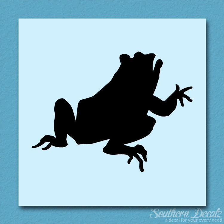 Frog Bullfrog Toad