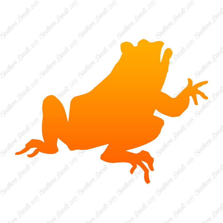 Frog Bullfrog Toad