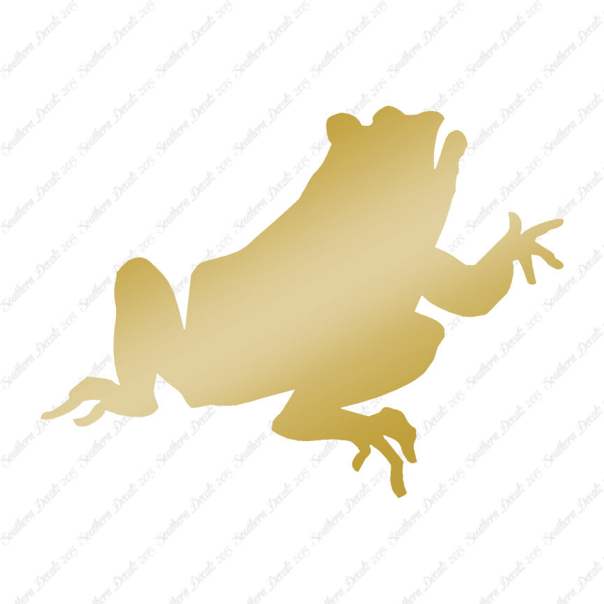 Frog Bullfrog Toad