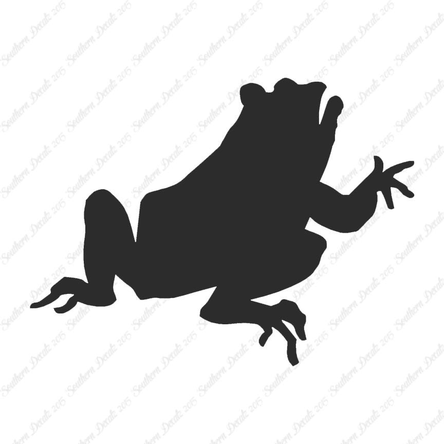 Frog Bullfrog Toad