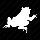 Frog Bullfrog Toad