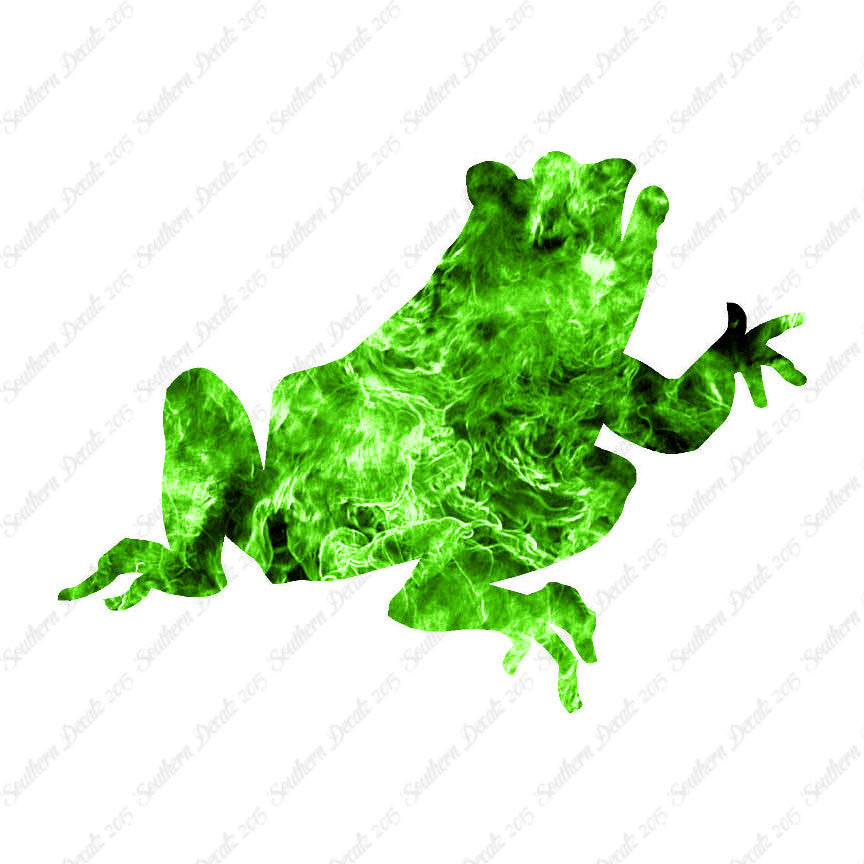 Frog Bullfrog Toad