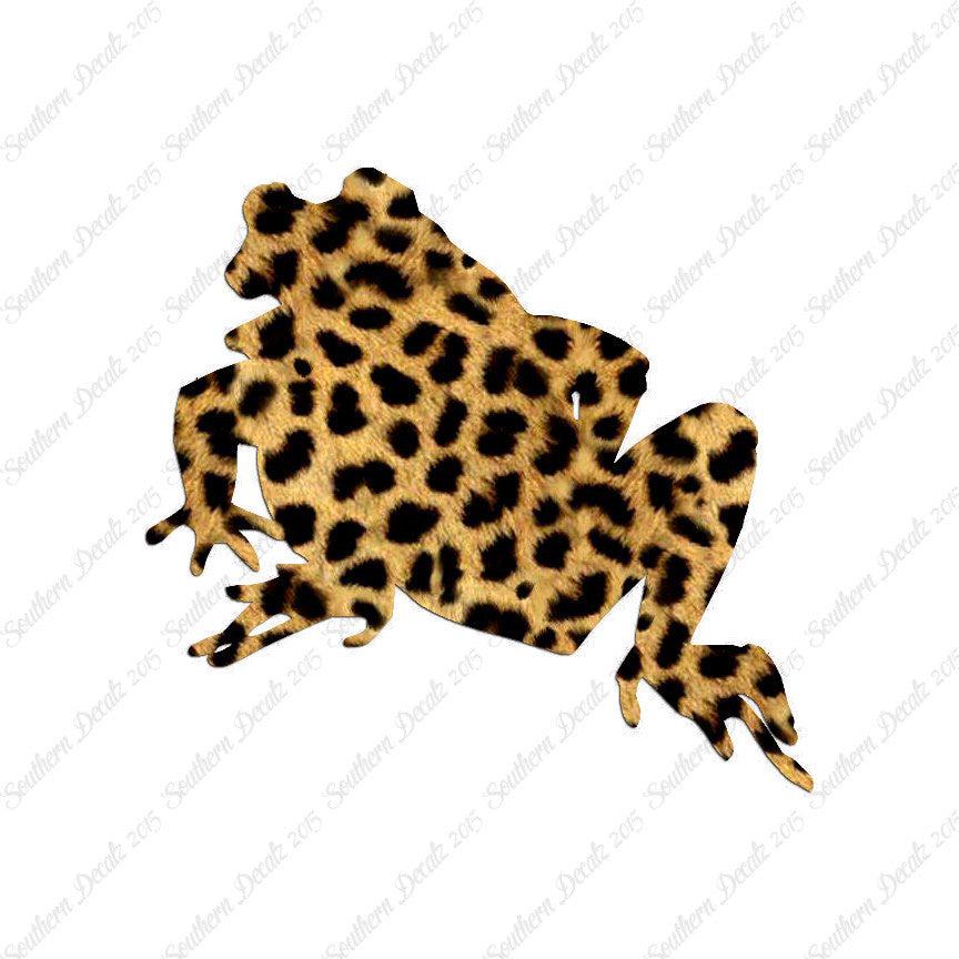 Bullfrog Frog Toad
