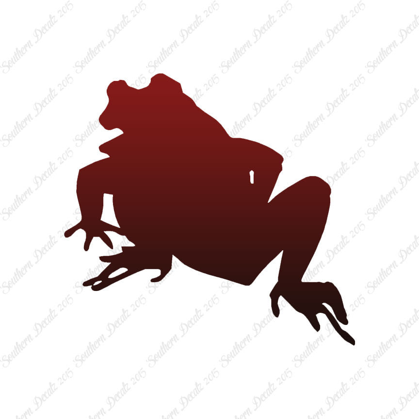Bullfrog Frog Toad
