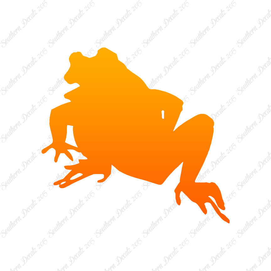 Bullfrog Frog Toad