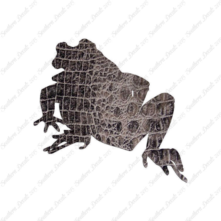 Bullfrog Frog Toad