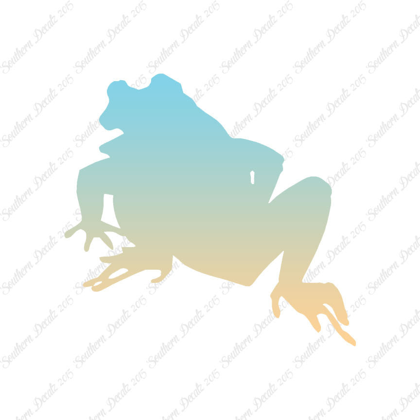Bullfrog Frog Toad