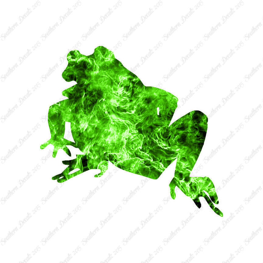 Bullfrog Frog Toad