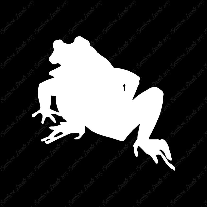 Bullfrog Frog Toad