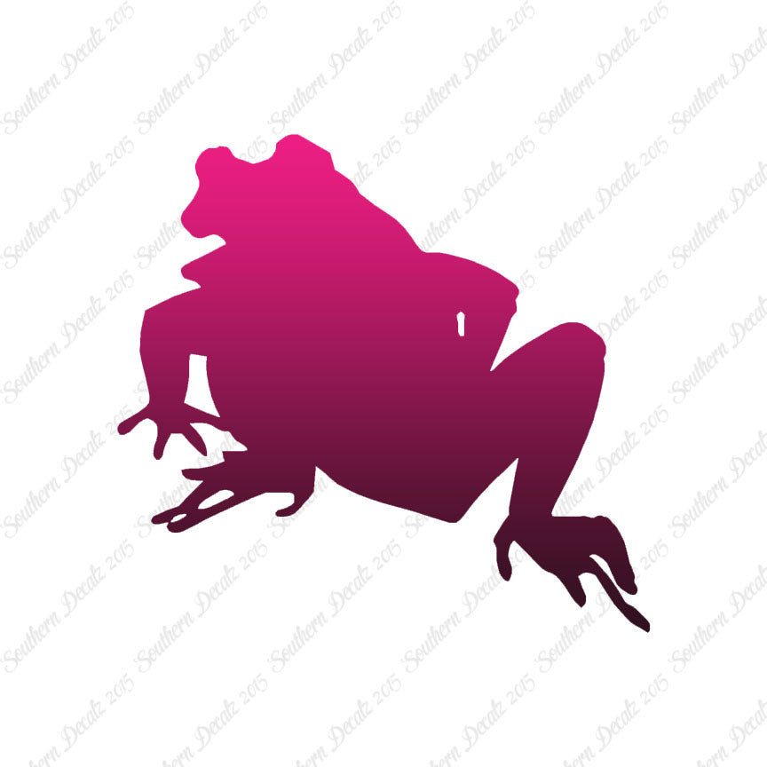 Bullfrog Frog Toad