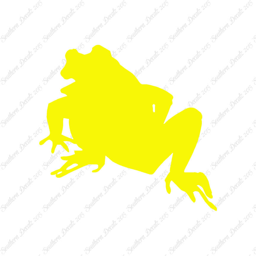 Bullfrog Frog Toad