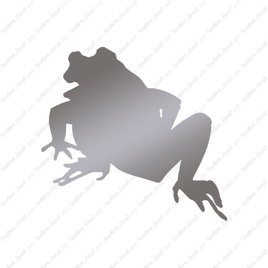 Bullfrog Frog Toad