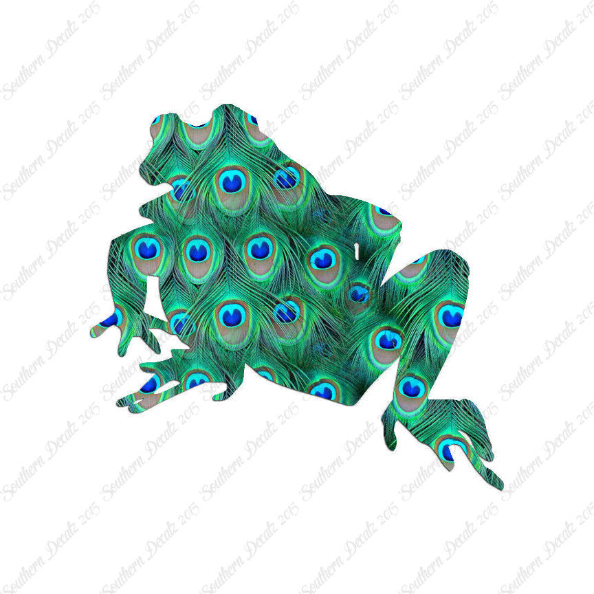 Bullfrog Frog Toad