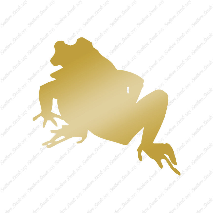 Bullfrog Frog Toad