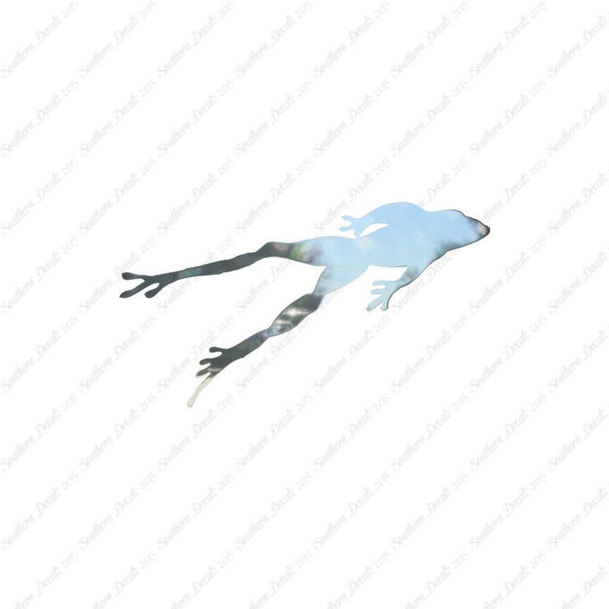 Frog Jumping Toad