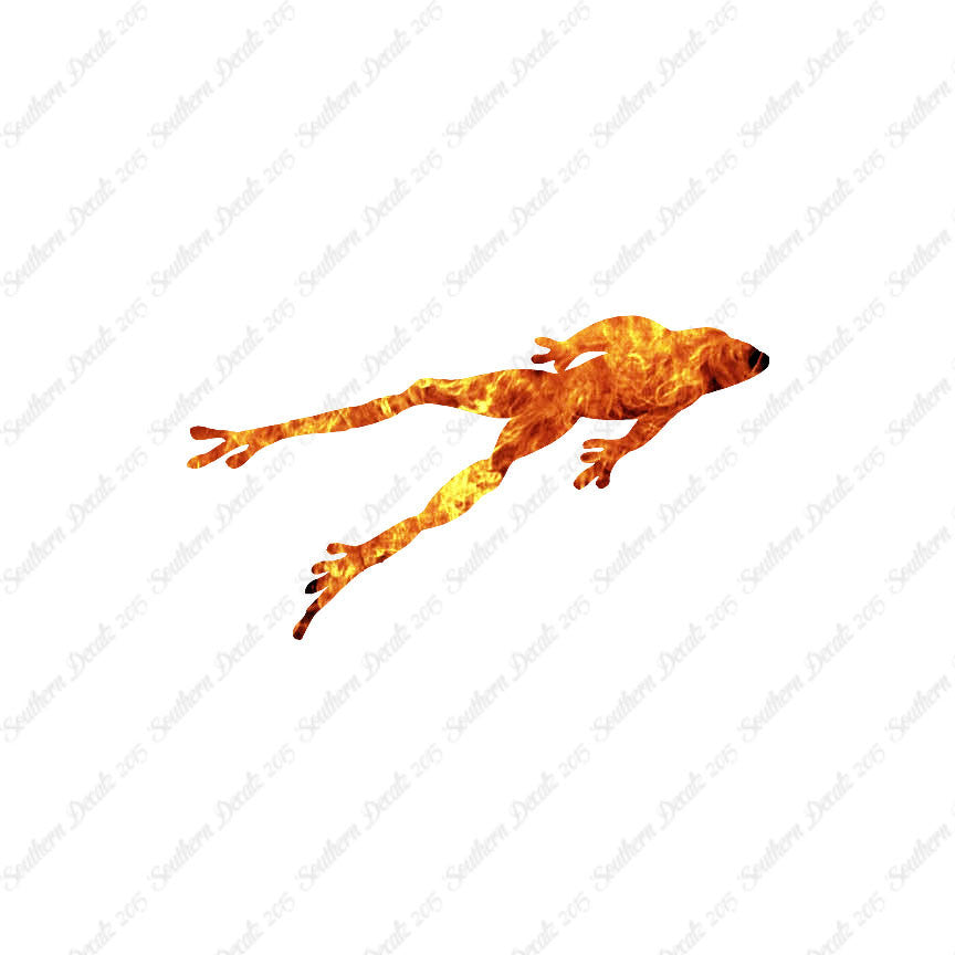 Frog Jumping Toad