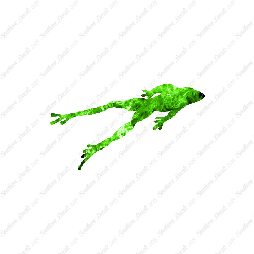 Frog Jumping Toad