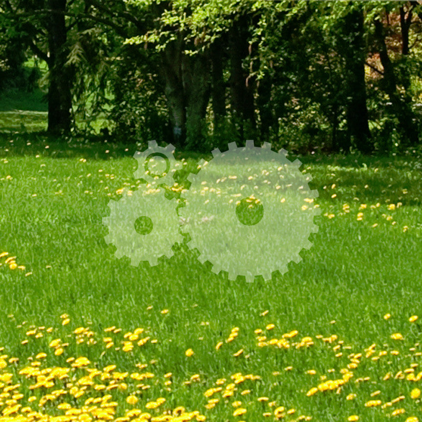 Gear Interlocking