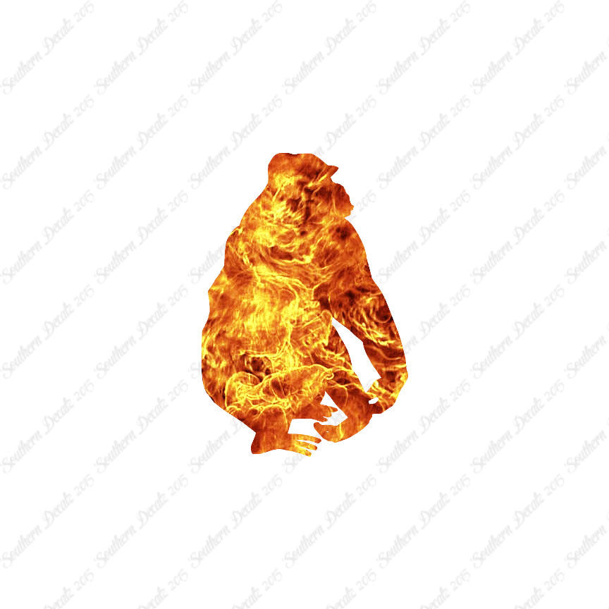 Gorilla Monkey