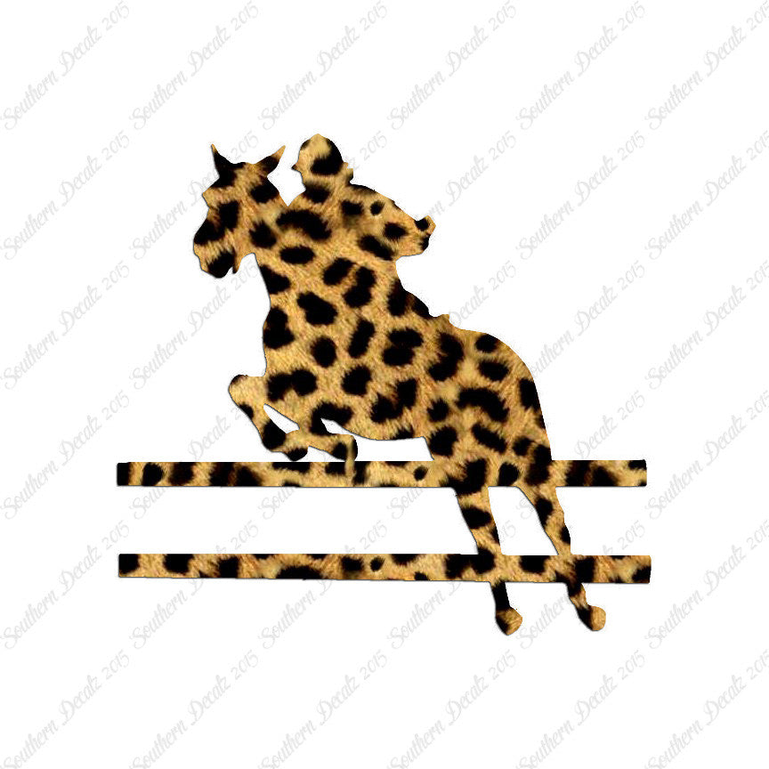 Show Horse Jumping