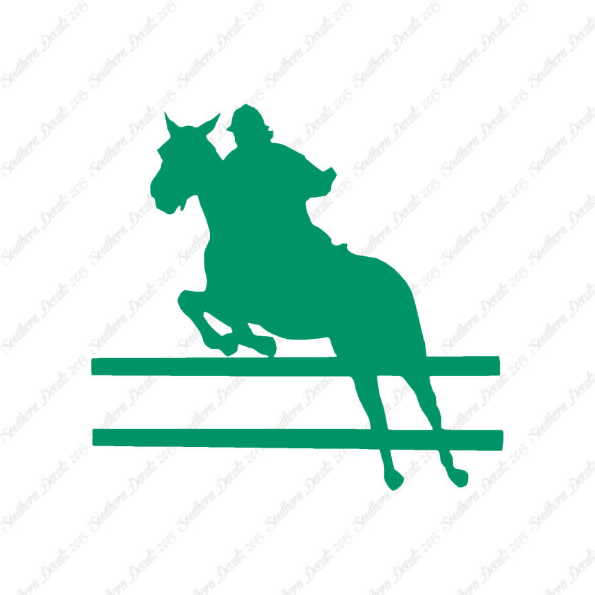 Show Horse Jumping